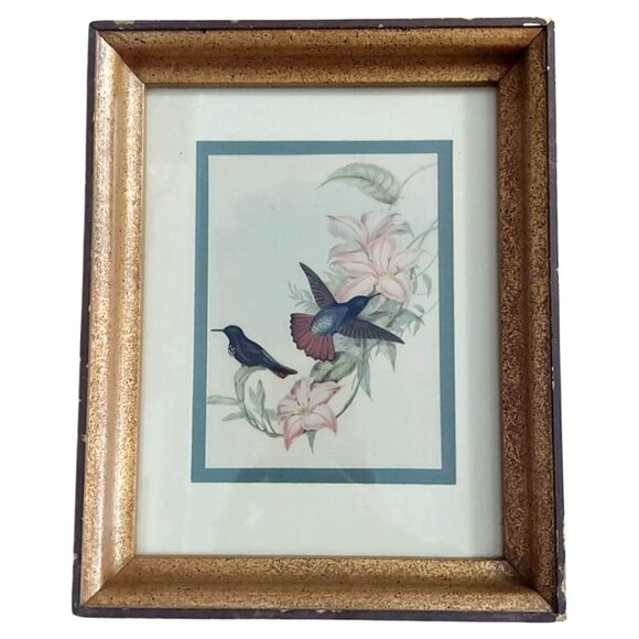 Framed John Gould Lithographs Hummingbird & Flowers Set Of 2 8x10 Vintage Birds - Picture 2 of 12